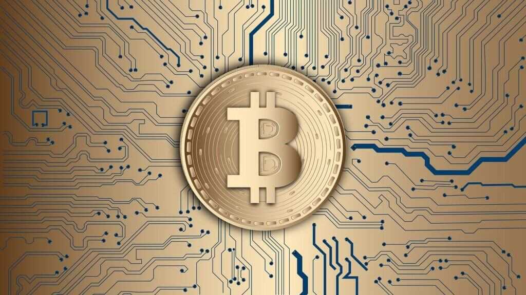 the most popular blockchain networks the most popular blockchain networks